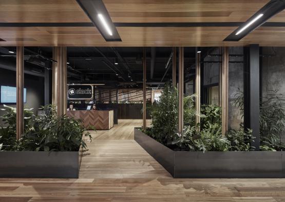 a room with plants and a wood floor