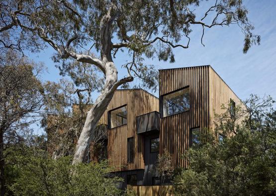 a building with trees around it