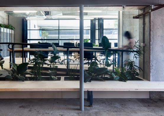 a room with a bench and plants