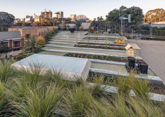 a rooftop garden with plants and buildings in the background