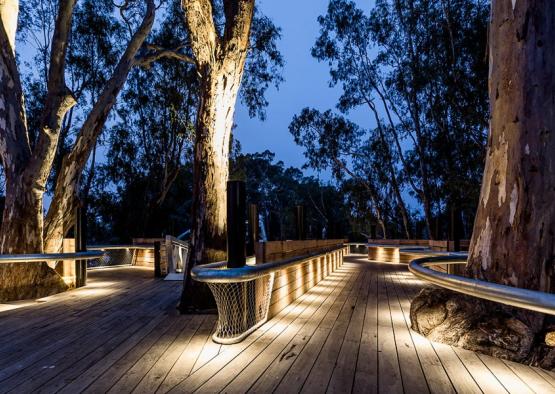 a wooden deck with lights and trees