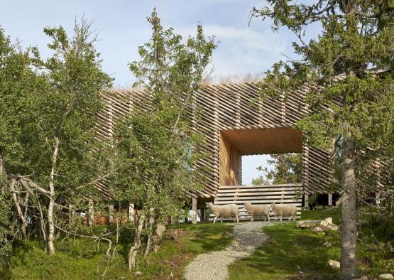 a building with sheep in the grass