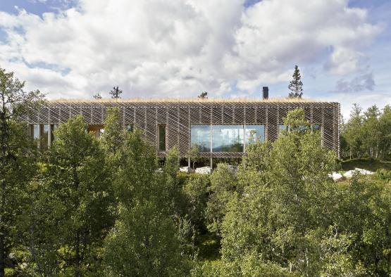 a building with trees around it