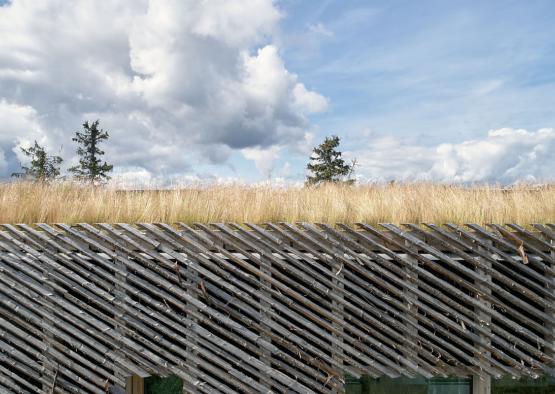 a wooden structure with grass on top