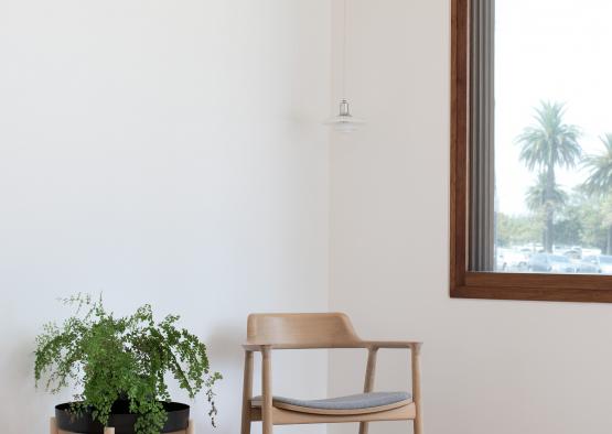 a chair and a plant in a room