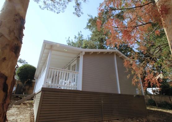 a house with a porch and a tree