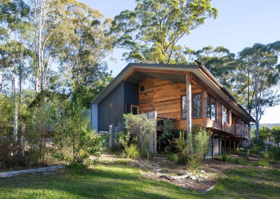 a house with trees around it