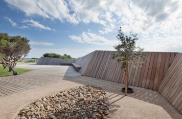 a tree in a gravel area