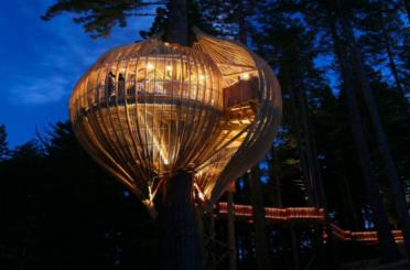 a tree house in the woods